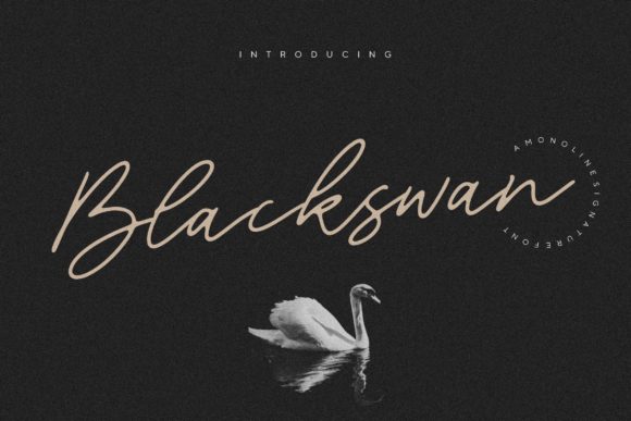 Discover the Elegance of Blackswan: A Premium Handwritten Font