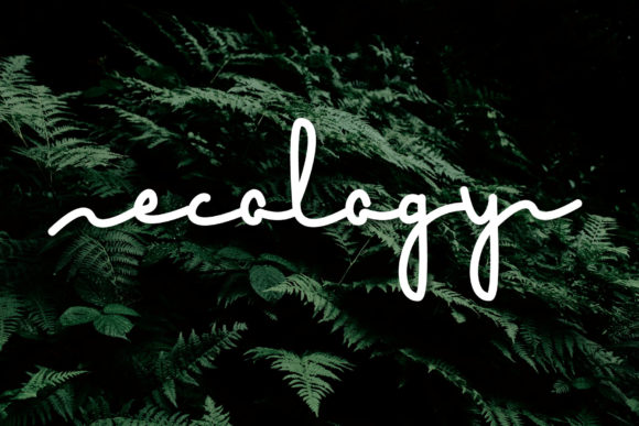 Ecology: A Minimal and Flowing Handwritten Font