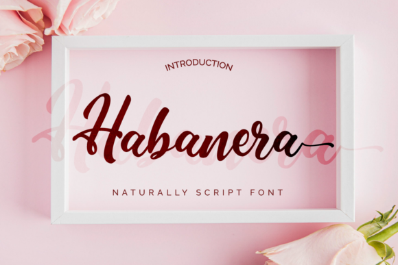 Habanera: A Handwritten Font for Engaging Editorial Design