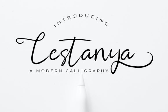Transform Your Brand with Lestanya: A Premium Handwritten Font